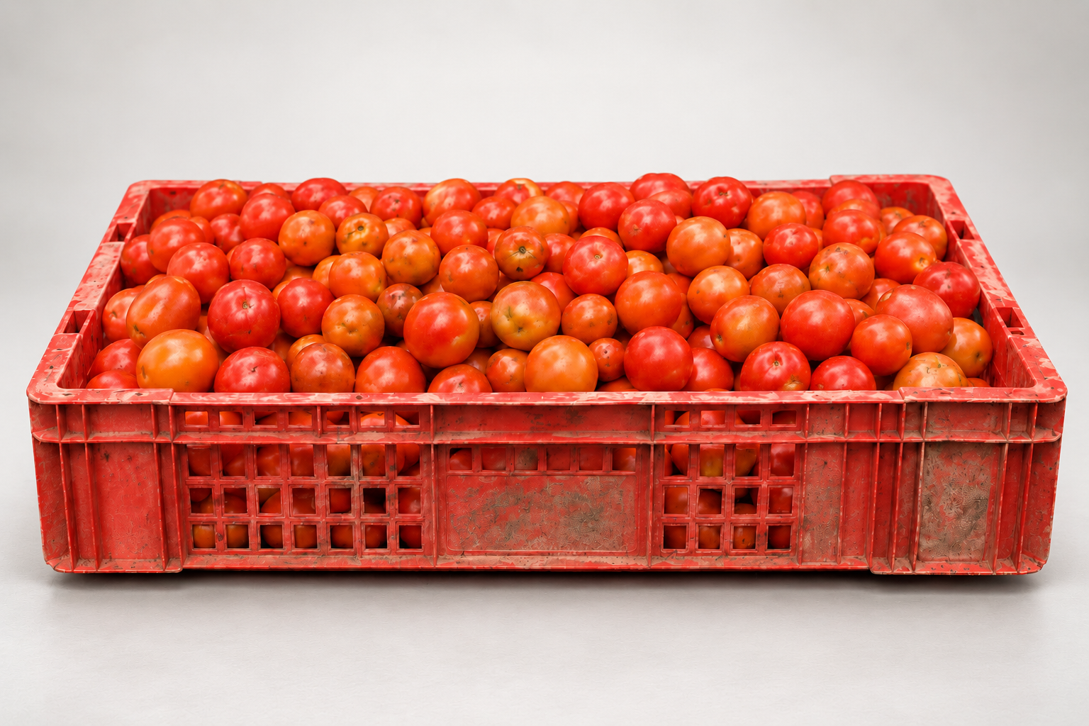 12 KG tomatoes